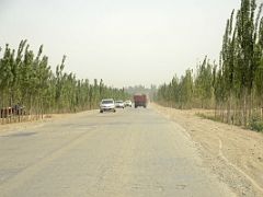 07 Tree Lined Road As The Drive From Kashgar Nears Yarkand.jpg